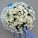 QF01239-white wreaths flowers