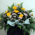 QF1176-wreath pomdaisies