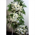 QF1193-white wreath flowers stand