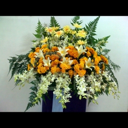 QF1228-white orange flower