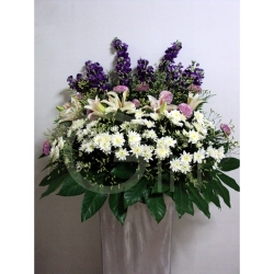 QFFS06 white pom lilies purple